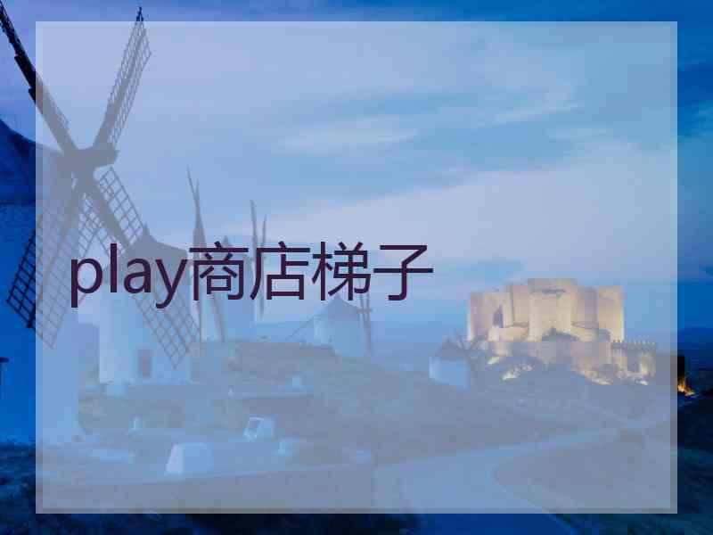 play商店梯子
