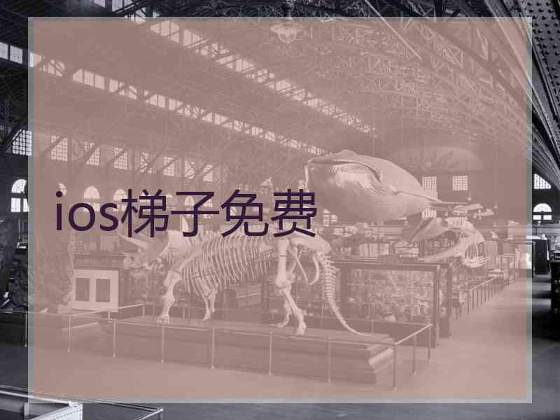 ios梯子免费
