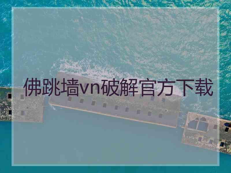 佛跳墙vn破解官方下载