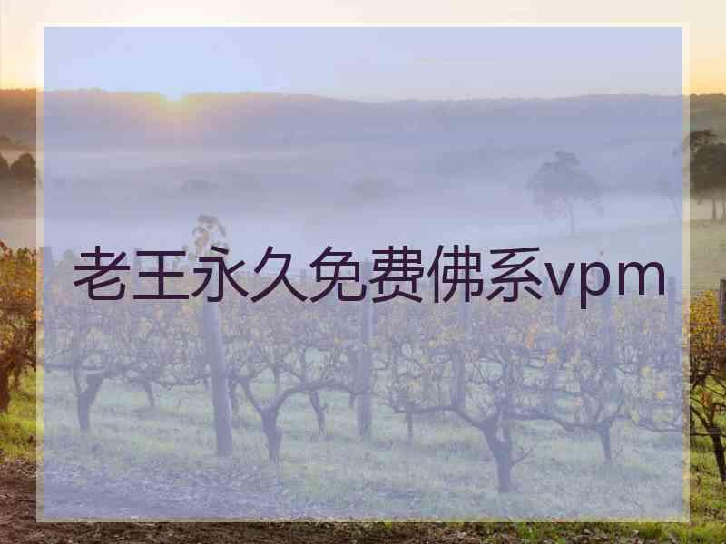 老王永久免费佛系vpm
