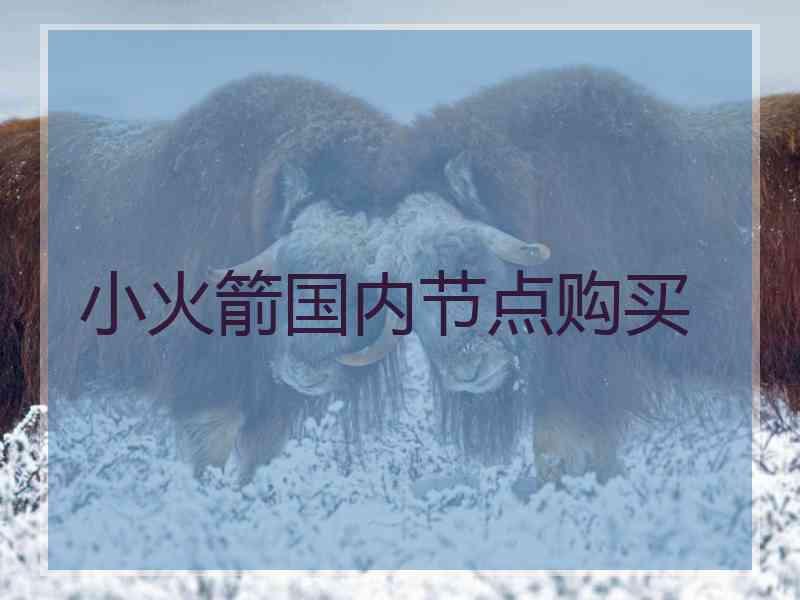 小火箭国内节点购买
