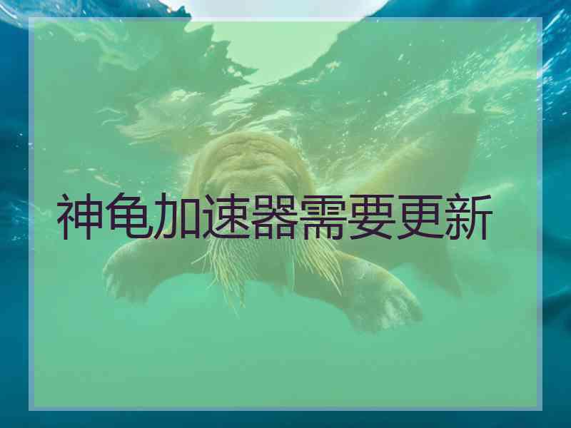 神龟加速器需要更新