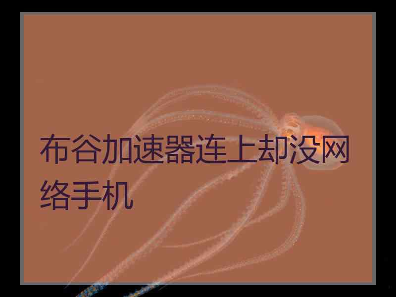 布谷加速器连上却没网络手机