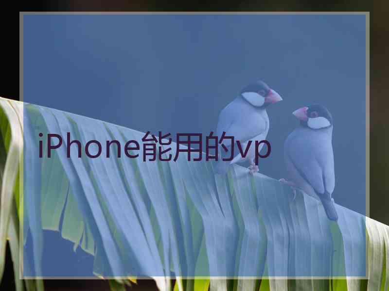 iPhone能用的vp