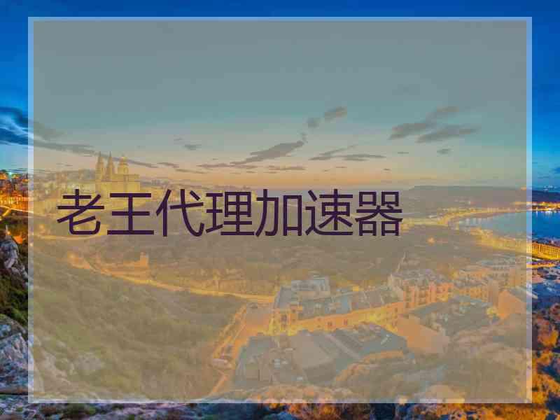 老王代理加速器