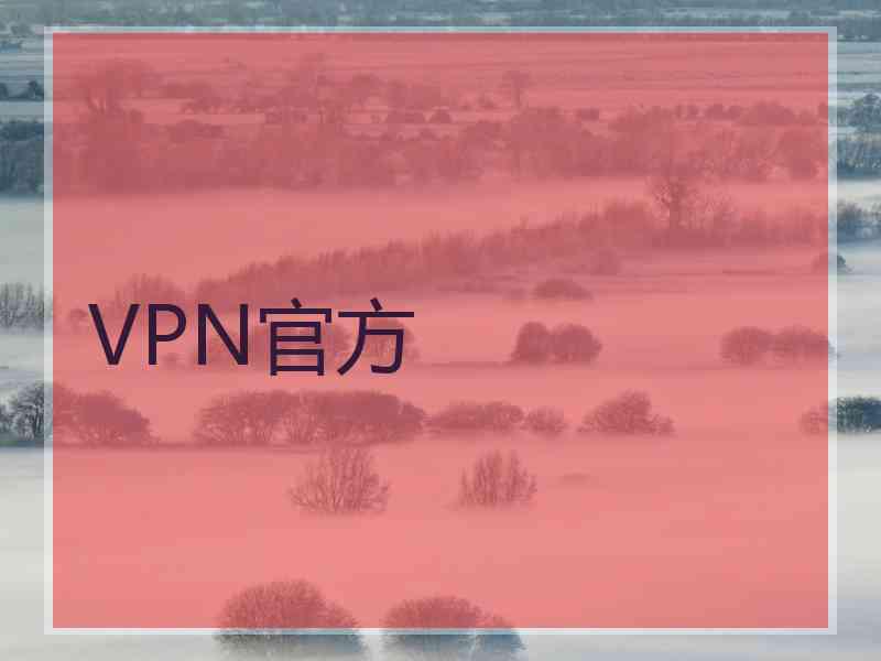 VPN官方