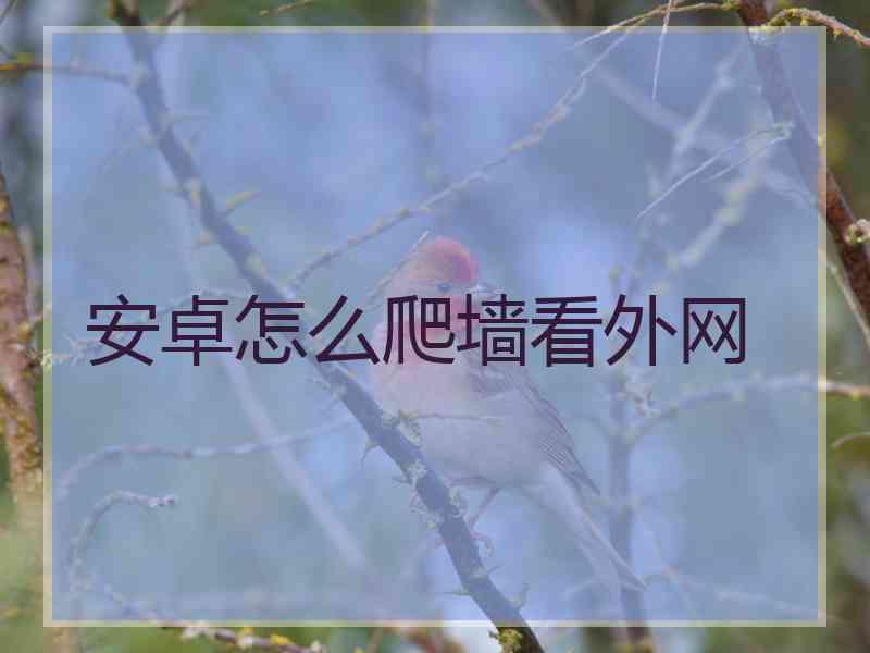 安卓怎么爬墙看外网
