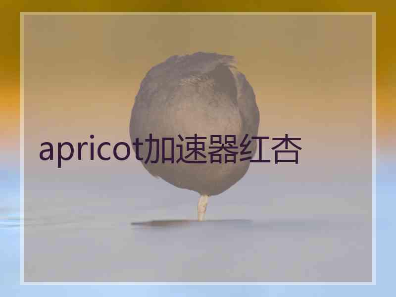 apricot加速器红杏