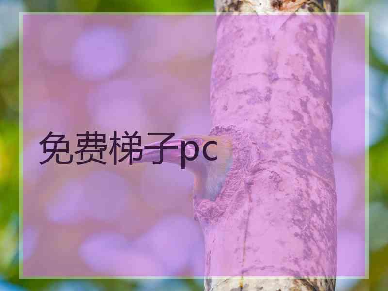 免费梯子pc