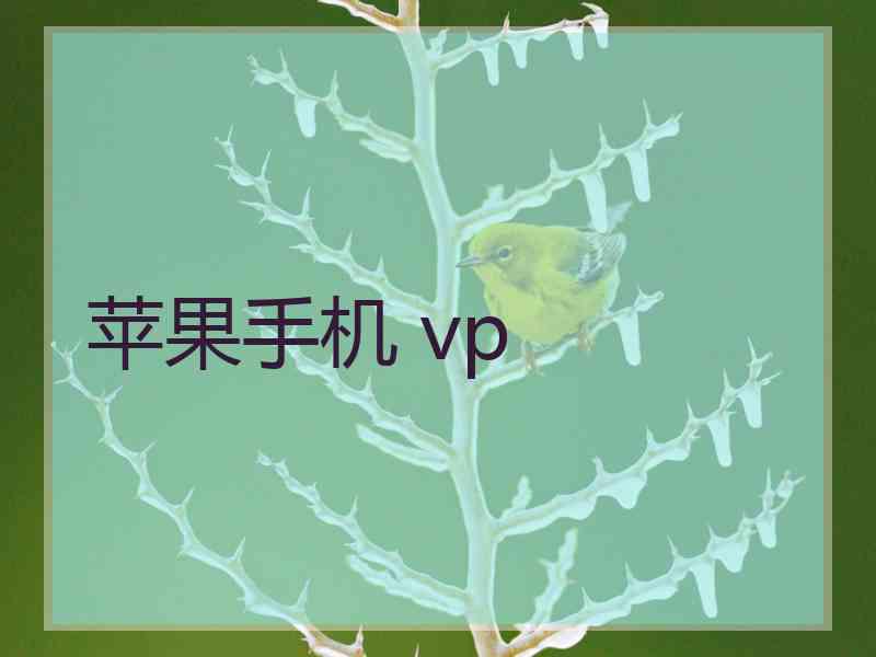 苹果手机 vp