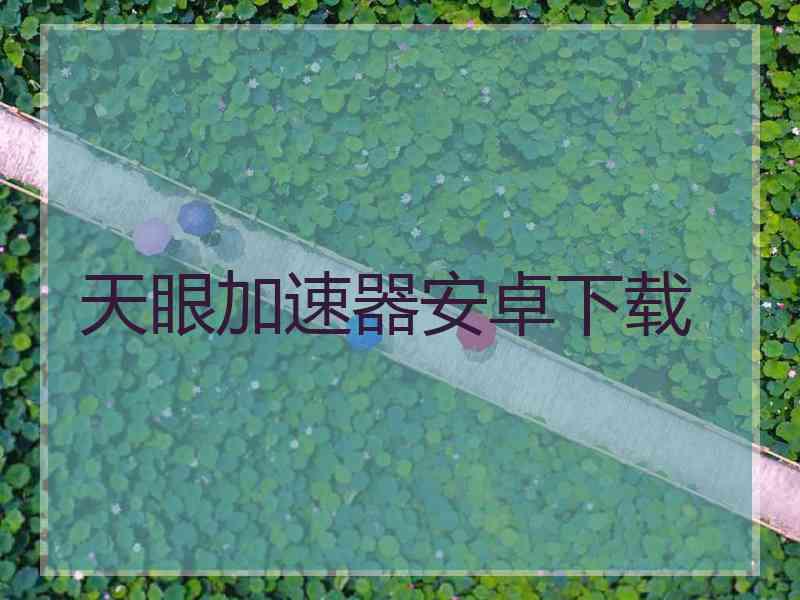 天眼加速器安卓下载