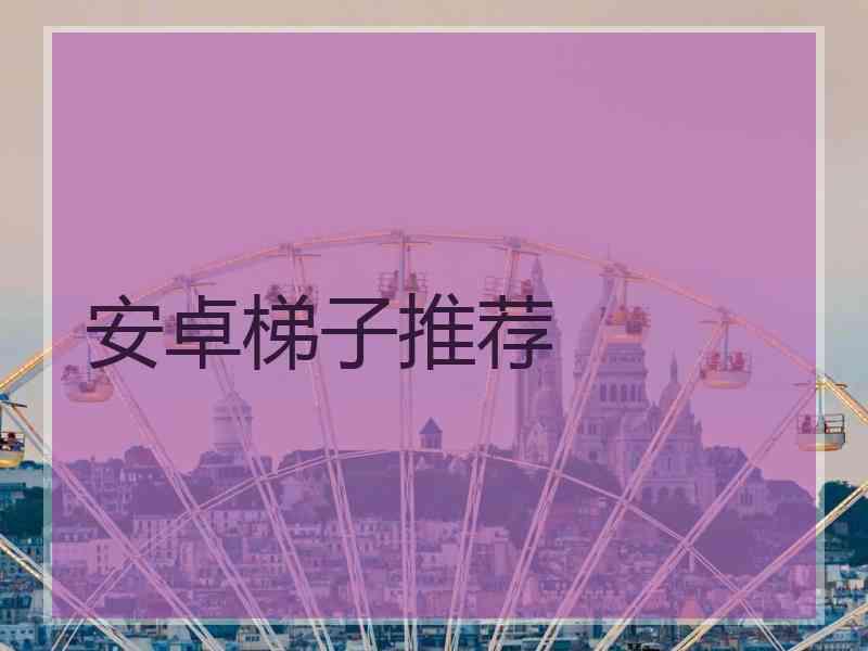 安卓梯子推荐