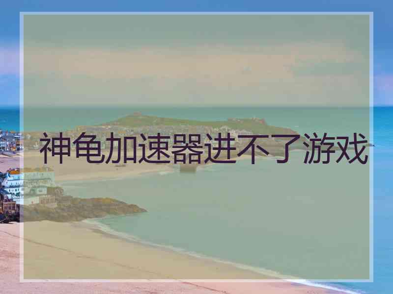 神龟加速器进不了游戏