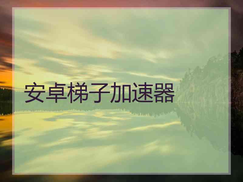 安卓梯子加速器