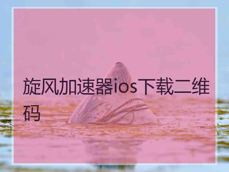 旋风加速器ios下载二维码