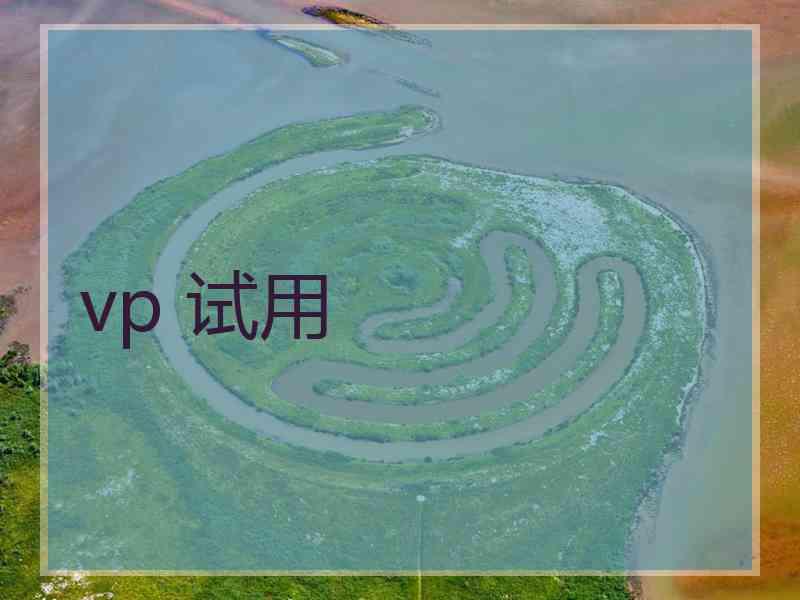 vp 试用
