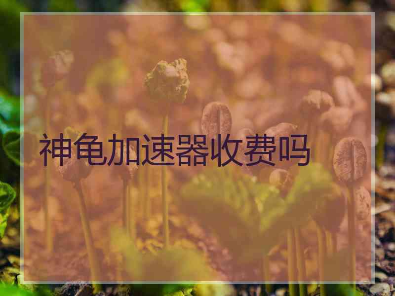 神龟加速器收费吗