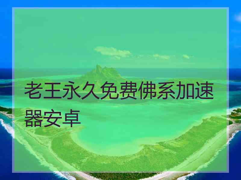 老王永久免费佛系加速器安卓
