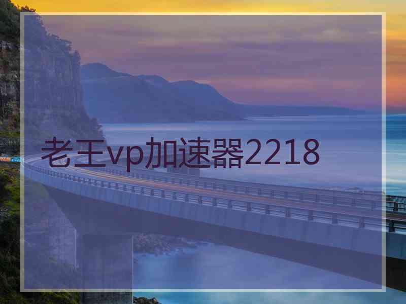老王vp加速器2218