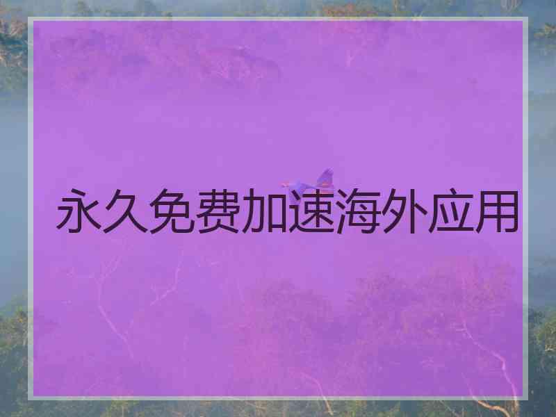 永久免费加速海外应用