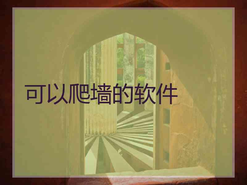 可以爬墙的软件