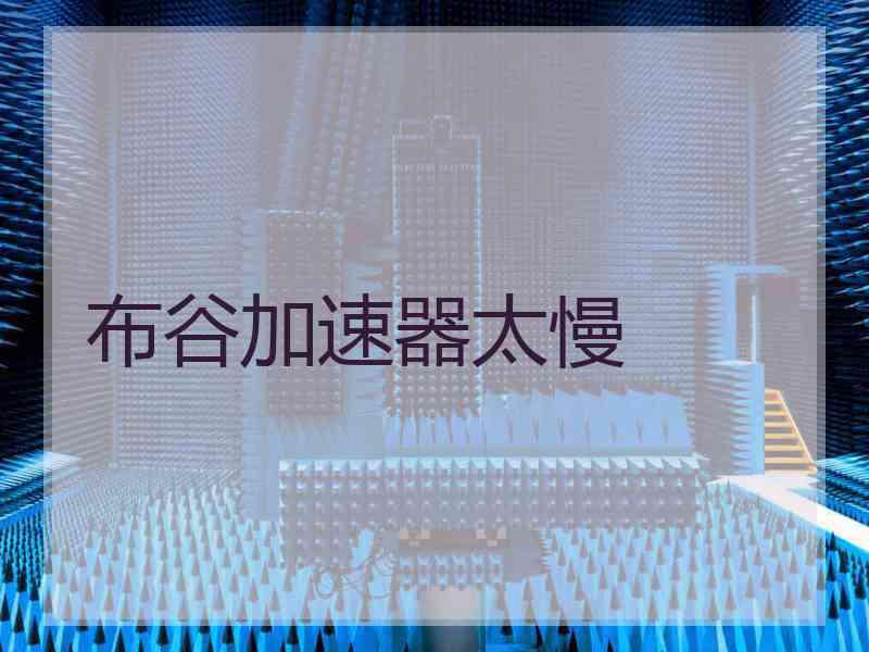 布谷加速器太慢