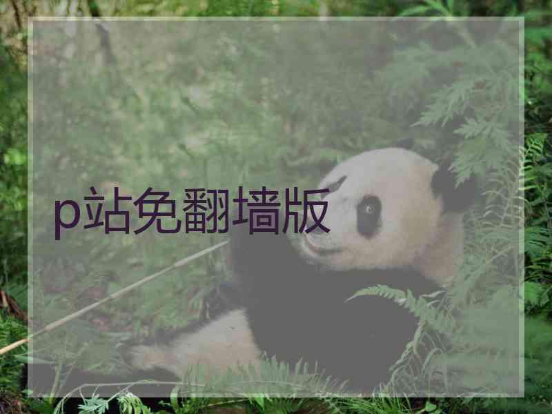 p站免翻墙版