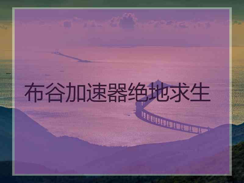 布谷加速器绝地求生