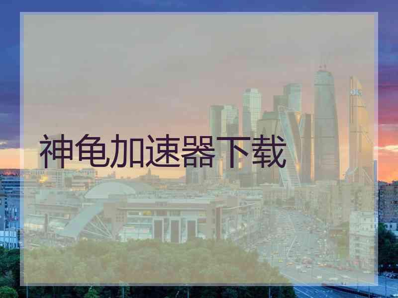 神龟加速器下载