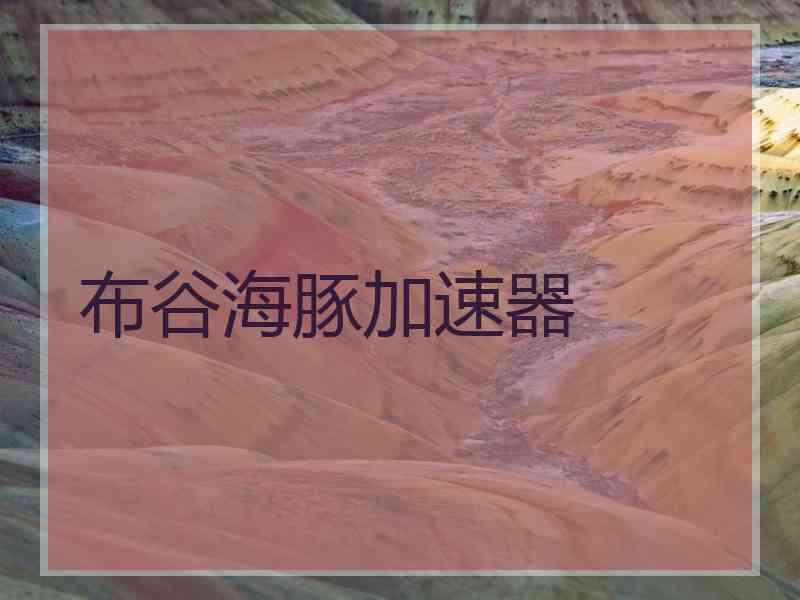 布谷海豚加速器
