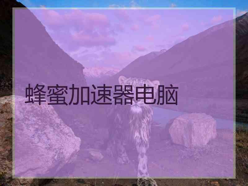 蜂蜜加速器电脑