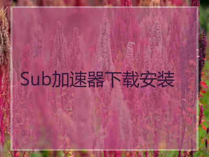 Sub加速器下载安装