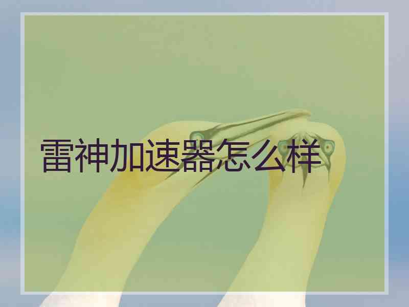 雷神加速器怎么样