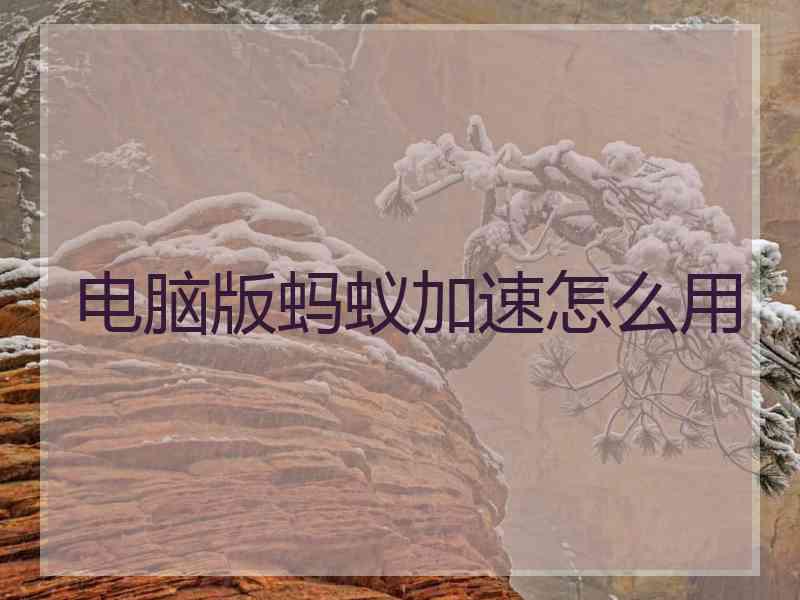电脑版蚂蚁加速怎么用