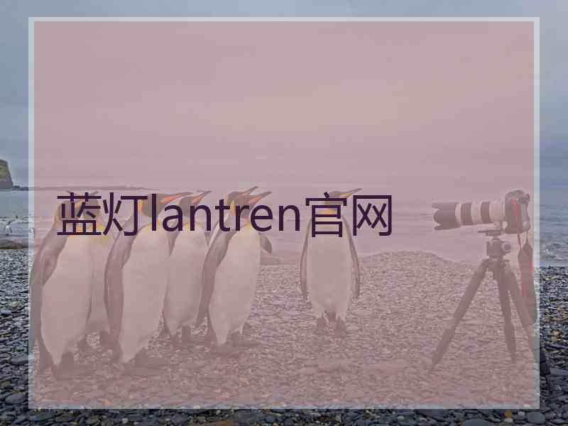 蓝灯lantren官网
