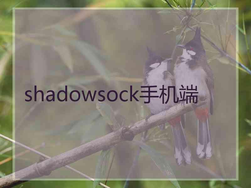 shadowsock手机端