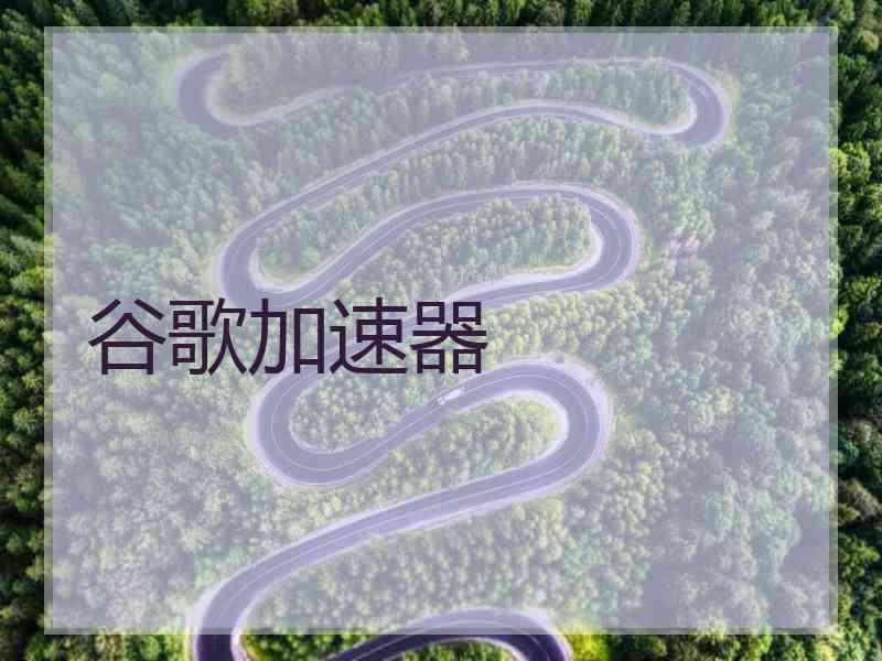 谷歌加速器