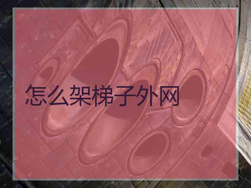 怎么架梯子外网