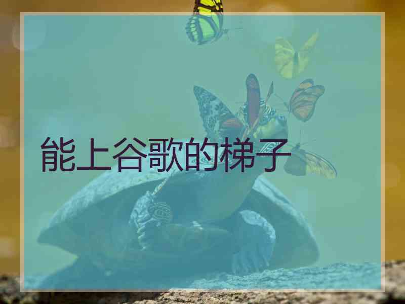能上谷歌的梯子
