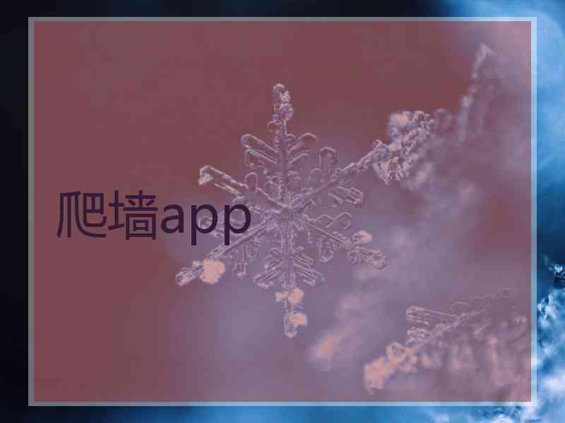 爬墙app