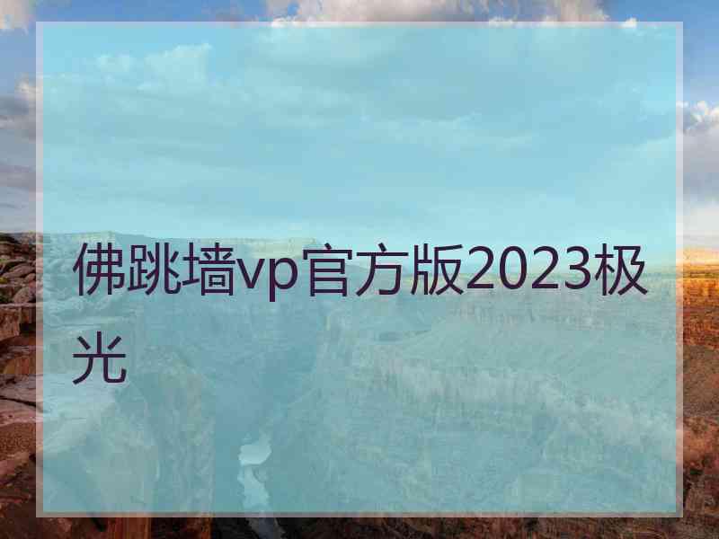 佛跳墙vp官方版2023极光