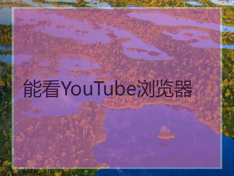 能看YouTube浏览器
