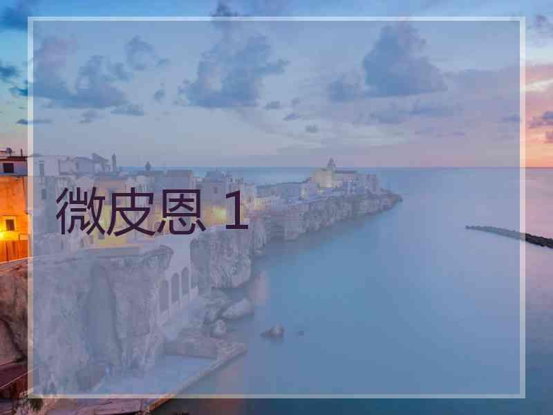 微皮恩 1