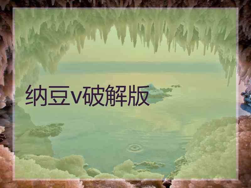 纳豆v破解版