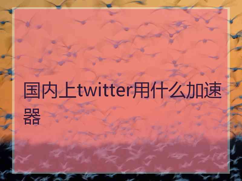 国内上twitter用什么加速器