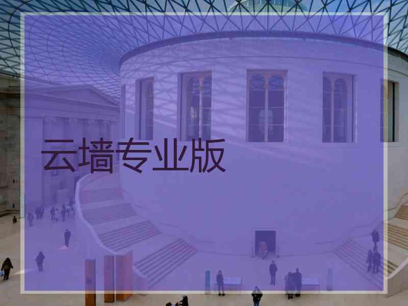 云墙专业版