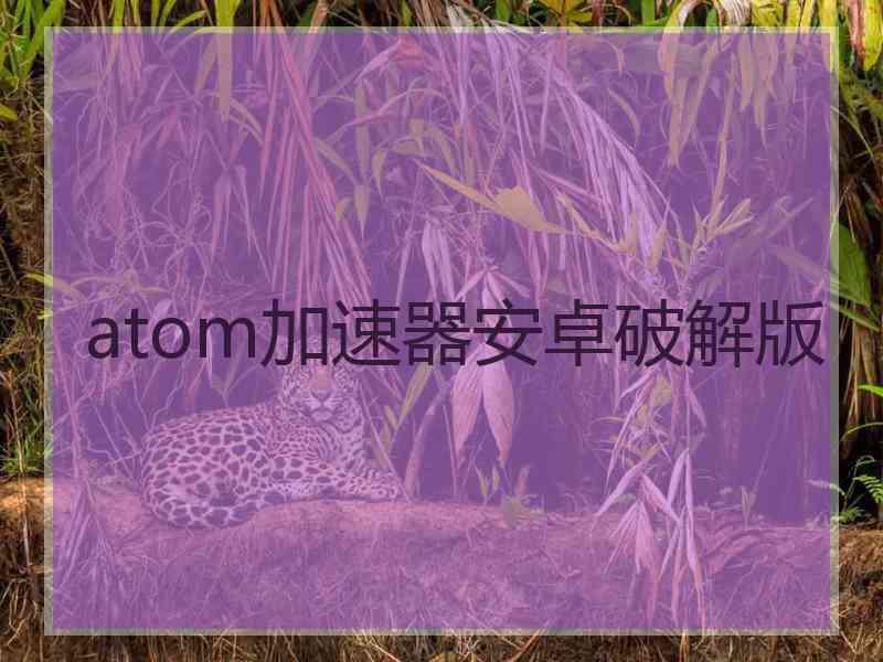atom加速器安卓破解版