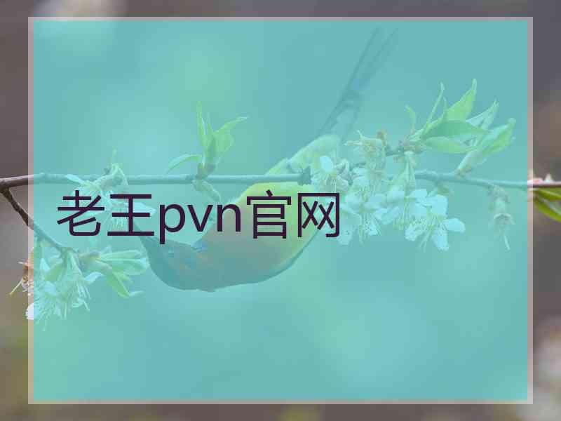 老王pvn官网