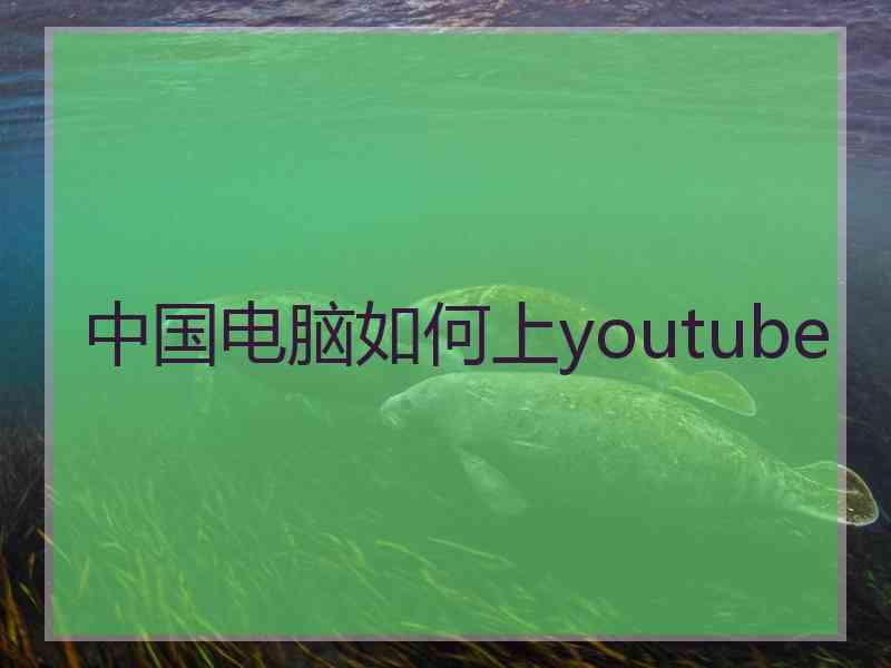 中国电脑如何上youtube