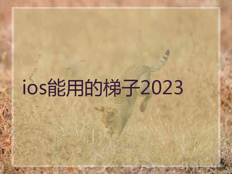 ios能用的梯子2023